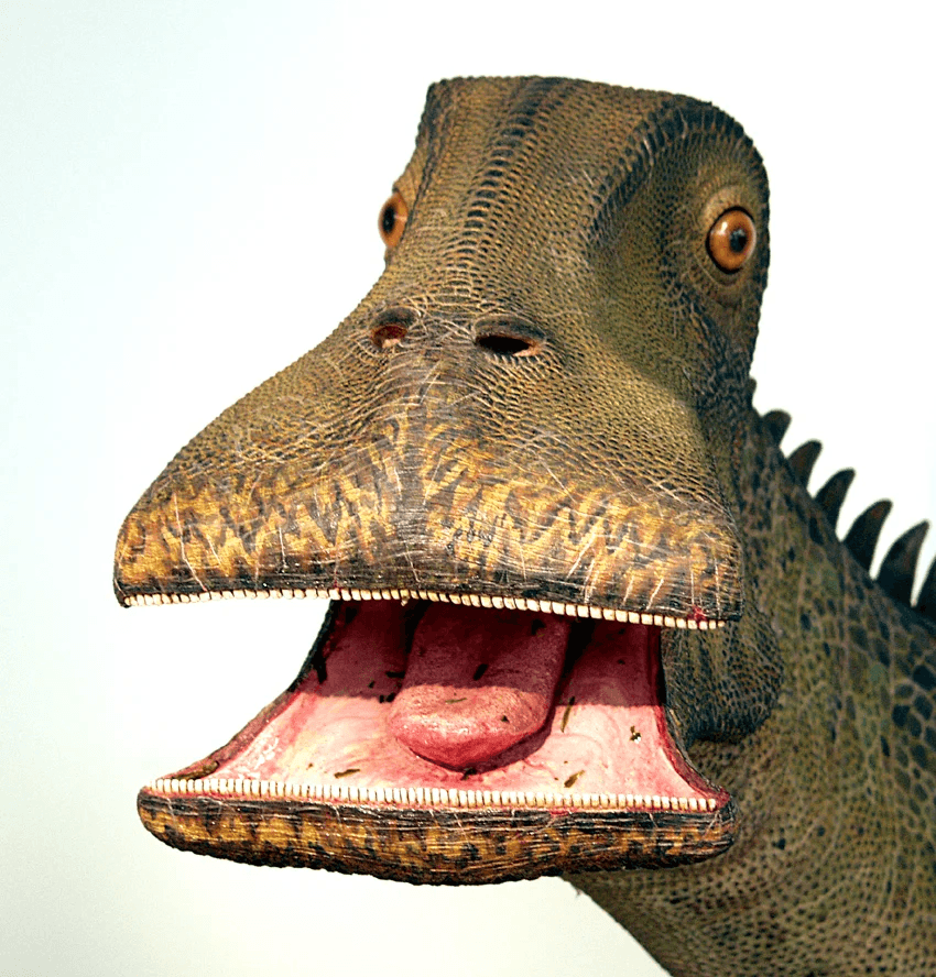 Nigersaurus - the silliest looking dinosaur with a wide flat mouth and goofy eyes